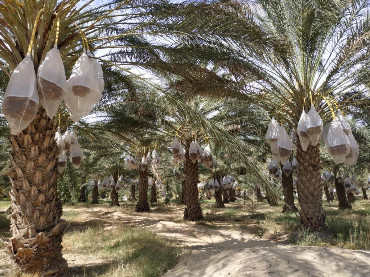 Grand Sud, La Maison De Sable Дуз Екстер'єр фото